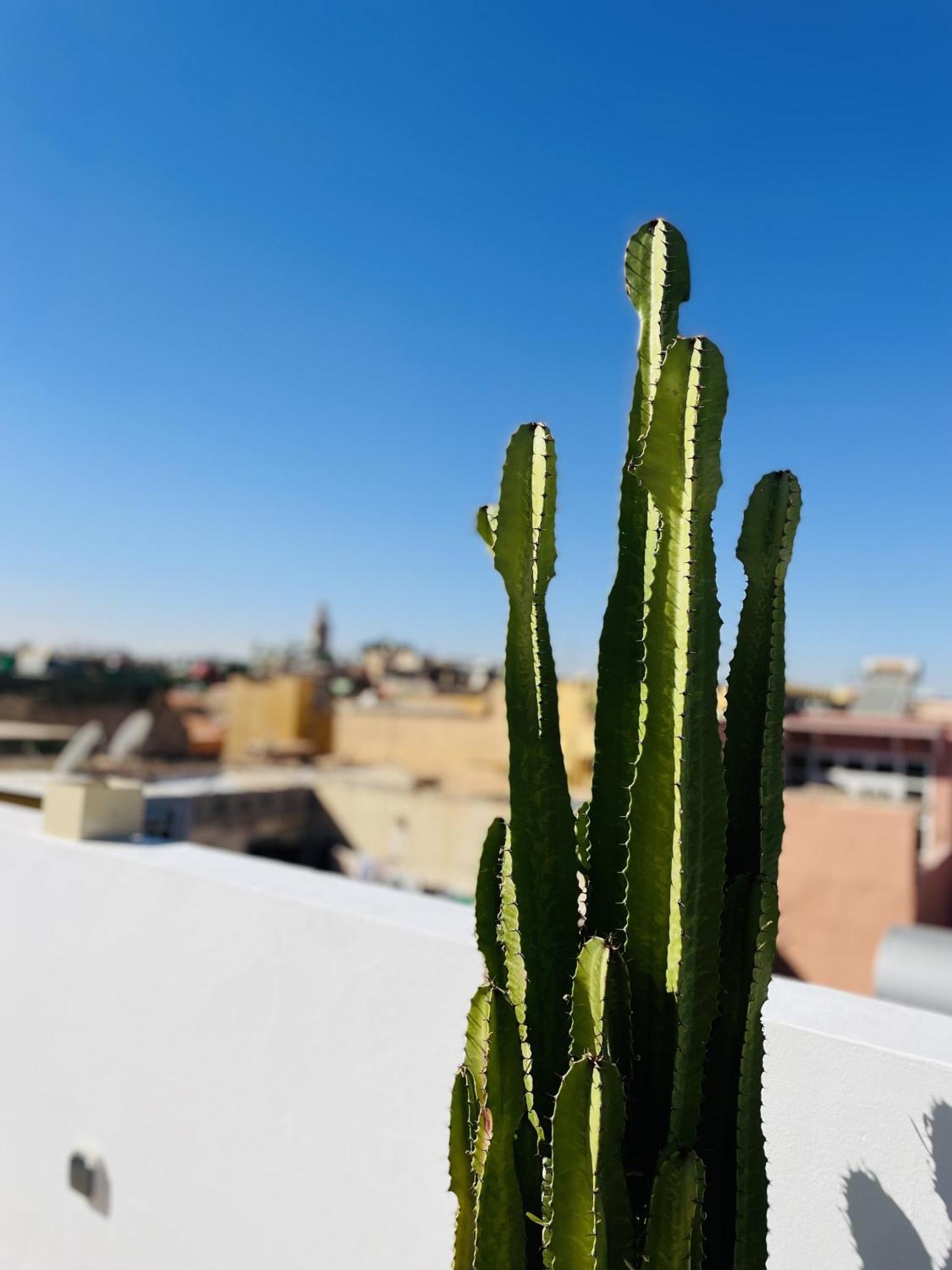 Riad Dar Bayane マラケシュ エクステリア 写真